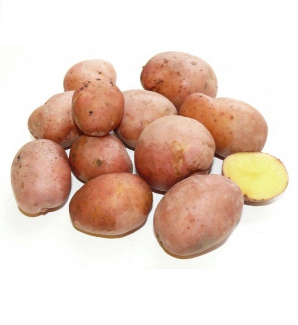 Картофель свежий, урожай 2022 года 1 кг